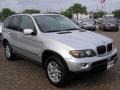 2005 Titanium Silver Metallic BMW X5 3.0i  photo #15