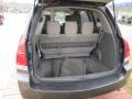 Gray Trunk Photo for 2007 Nissan Quest #61048396
