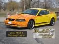 2004 Screaming Yellow Ford Mustang Mach 1 Coupe  photo #1