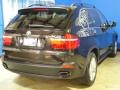 Black Sapphire Metallic - X5 xDrive48i Photo No. 10