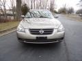 Velvet Beige - Altima 2.5 S Photo No. 2