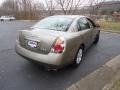 Velvet Beige - Altima 2.5 S Photo No. 7