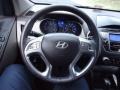 Taupe Steering Wheel Photo for 2010 Hyundai Tucson #61053850