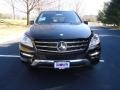 Black - ML 350 4Matic Photo No. 2