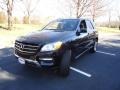 Black - ML 350 4Matic Photo No. 3