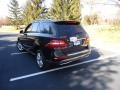 Black - ML 350 4Matic Photo No. 5