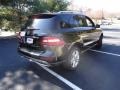 Black - ML 350 4Matic Photo No. 7