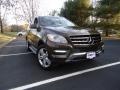 Dakota Brown Metallic - ML 350 4Matic Photo No. 1