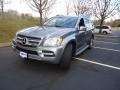 Paladium Silver Metallic - GL 450 4Matic Photo No. 3