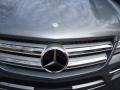 Paladium Silver Metallic - GL 450 4Matic Photo No. 17