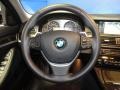 Black Steering Wheel Photo for 2011 BMW 5 Series #61057618