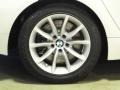 2009 BMW 5 Series 550i Sedan Wheel and Tire Photo