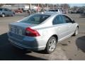 Silver Metallic - S80 T6 AWD Photo No. 6
