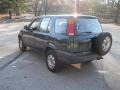 Clover Green Pearl - CR-V LX 4WD Photo No. 4