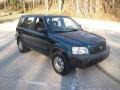 Clover Green Pearl - CR-V LX 4WD Photo No. 8