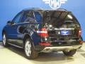 Black - ML 350 4Matic Photo No. 6