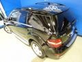 Black - ML 350 4Matic Photo No. 31
