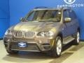 Sparkling Bronze Metallic - X5 xDrive 50i Photo No. 4