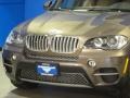 Sparkling Bronze Metallic - X5 xDrive 50i Photo No. 5