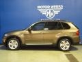 Sparkling Bronze Metallic - X5 xDrive 50i Photo No. 6