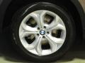 Sparkling Bronze Metallic - X5 xDrive 50i Photo No. 28