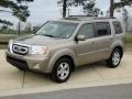 2009 Mocha Metallic Honda Pilot EX  photo #10