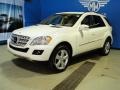 Arctic White - ML 350 4Matic Photo No. 5