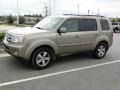 2009 Mocha Metallic Honda Pilot EX  photo #38