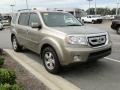 2009 Mocha Metallic Honda Pilot EX  photo #39