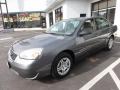 2006 Medium Gray Metallic Chevrolet Malibu LS Sedan  photo #1