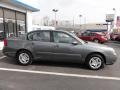 2006 Medium Gray Metallic Chevrolet Malibu LS Sedan  photo #7