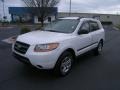 2009 Powder White Pearl Hyundai Santa Fe GLS  photo #1