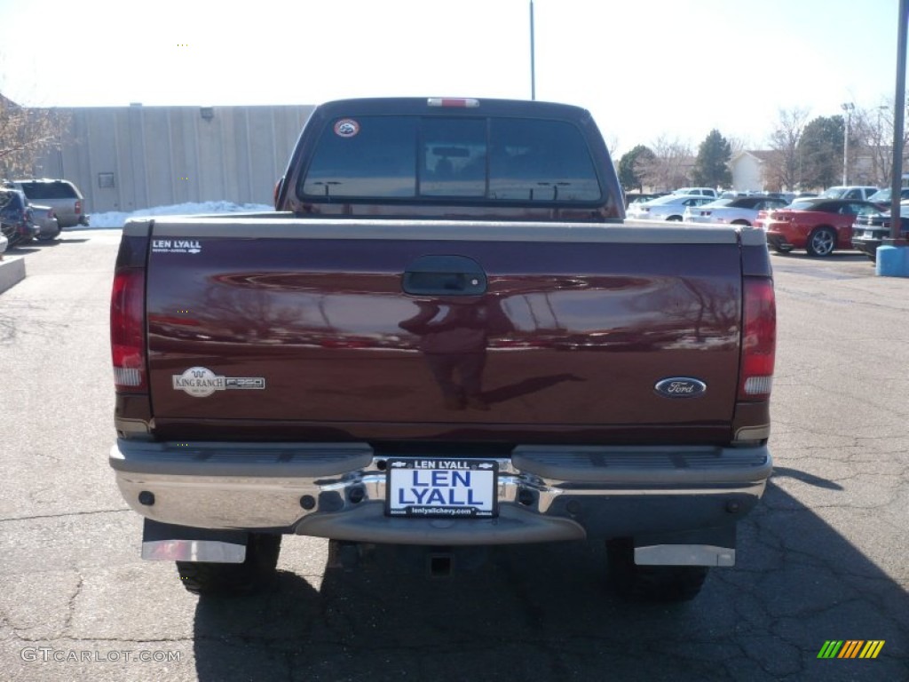 2004 F350 Super Duty King Ranch Crew Cab 4x4 - Chestnut Brown Metallic / Castano Brown Leather photo #5