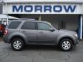 2009 Sterling Grey Metallic Ford Escape Limited V6 4WD  photo #1