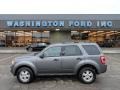 2010 Sterling Grey Metallic Ford Escape XLT 4WD  photo #1