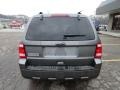 2010 Sterling Grey Metallic Ford Escape XLT 4WD  photo #3