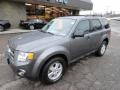 2010 Sterling Grey Metallic Ford Escape XLT 4WD  photo #8