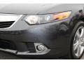 Graphite Luster Pearl - TSX Sedan Photo No. 30