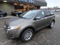 2012 Mineral Grey Metallic Ford Edge SEL AWD  photo #8