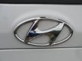 2011 Frost White Pearl Hyundai Santa Fe SE  photo #17