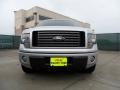 2010 Ingot Silver Metallic Ford F150 FX2 SuperCrew  photo #9