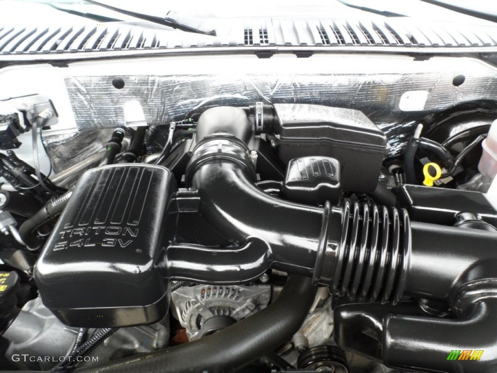 2010 Ford Expedition EL Limited 5.4 Liter Flex-Fuel SOHC 24-Valve VVT V8 Engine Photo #61100849