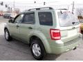 Kiwi Green Metallic - Escape XLT V6 4WD Photo No. 10