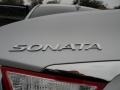 Radiant Silver - Sonata GLS Photo No. 15
