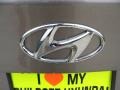 2012 Desert Bronze Hyundai Elantra GLS  photo #15