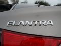 Desert Bronze - Elantra GLS Photo No. 15