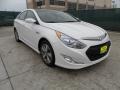 Porcelain White Pearl - Sonata Hybrid Photo No. 1