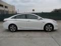 Porcelain White Pearl - Sonata Hybrid Photo No. 2