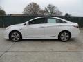 Porcelain White Pearl - Sonata Hybrid Photo No. 6