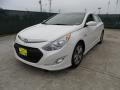 Porcelain White Pearl - Sonata Hybrid Photo No. 7